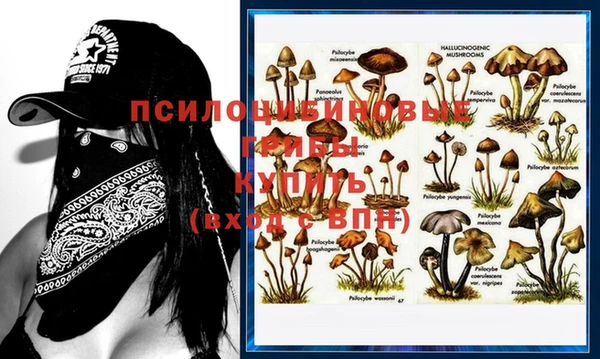 МДПВ Майский